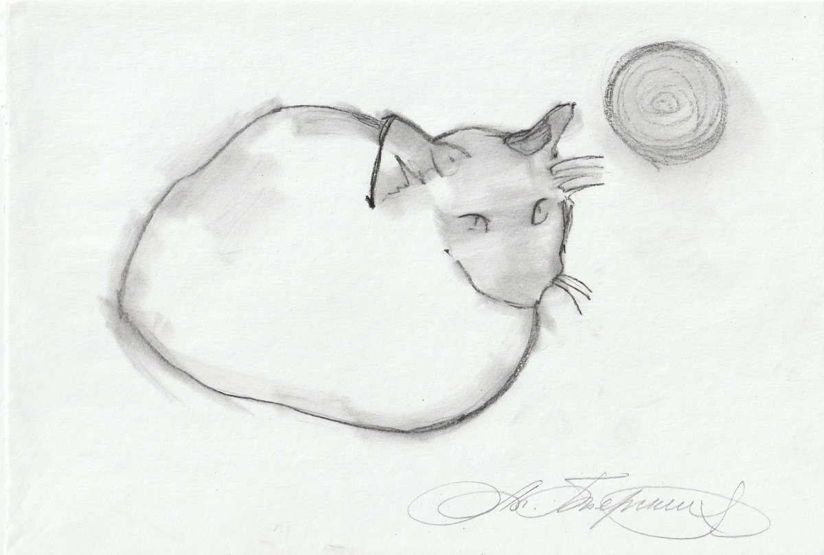 Animal Charcoal Drawing By Anastasia Terskih, 11 X 7, Cat And Moon, Original Artwork