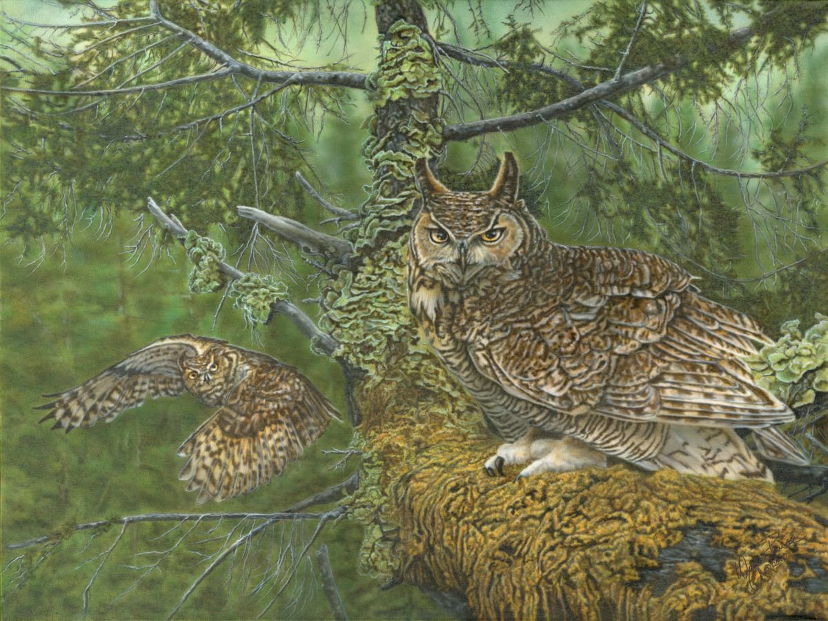 Great Horned Owls by Wayne Pruse