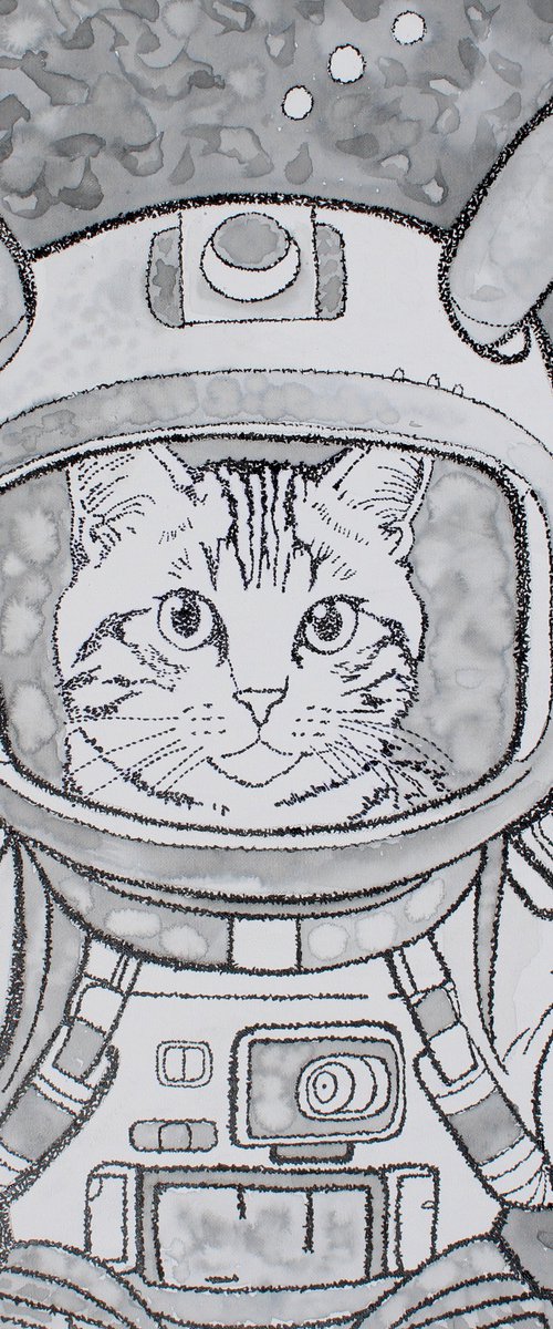 Space Cat by Tingqun Zhang