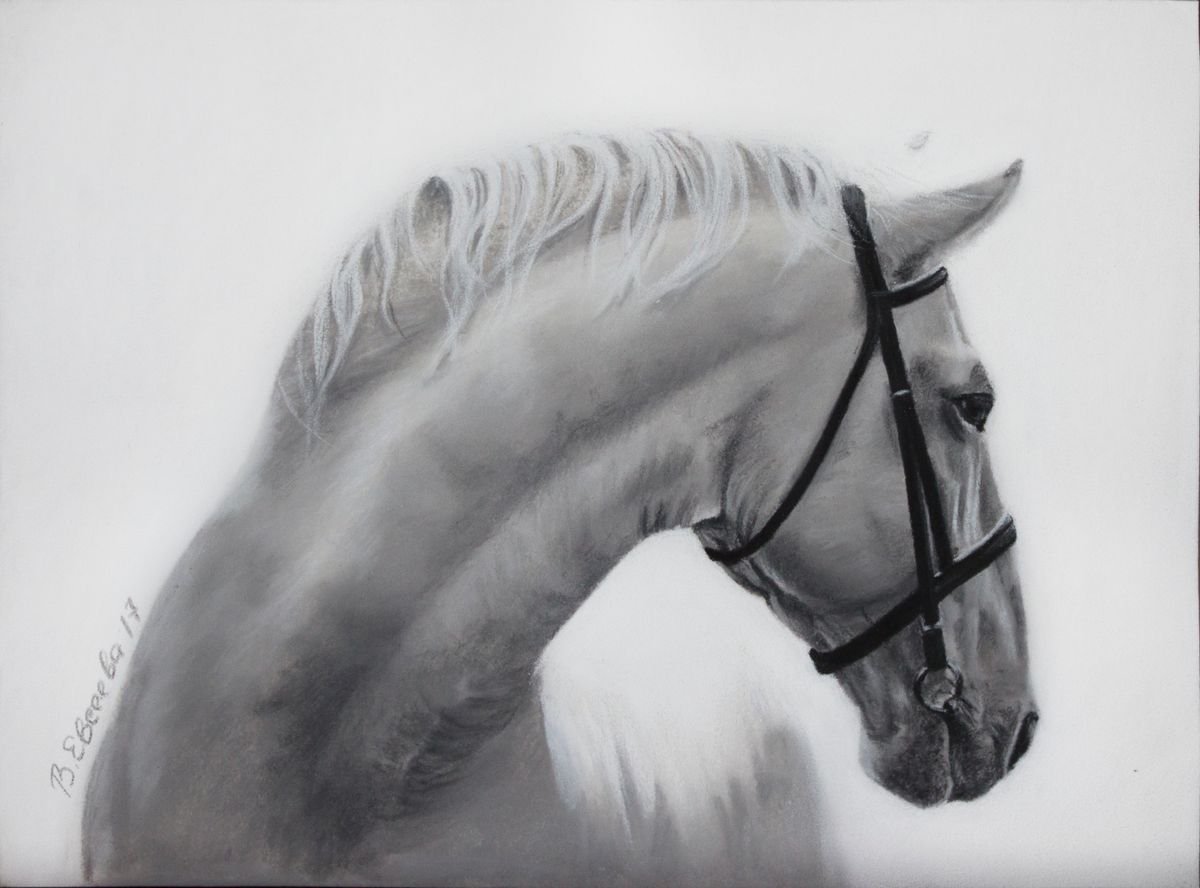 Andalusian horse portrait by Vera Evseeva Artfinder