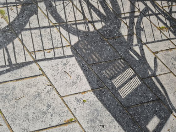 Valkenboskade (shadow)