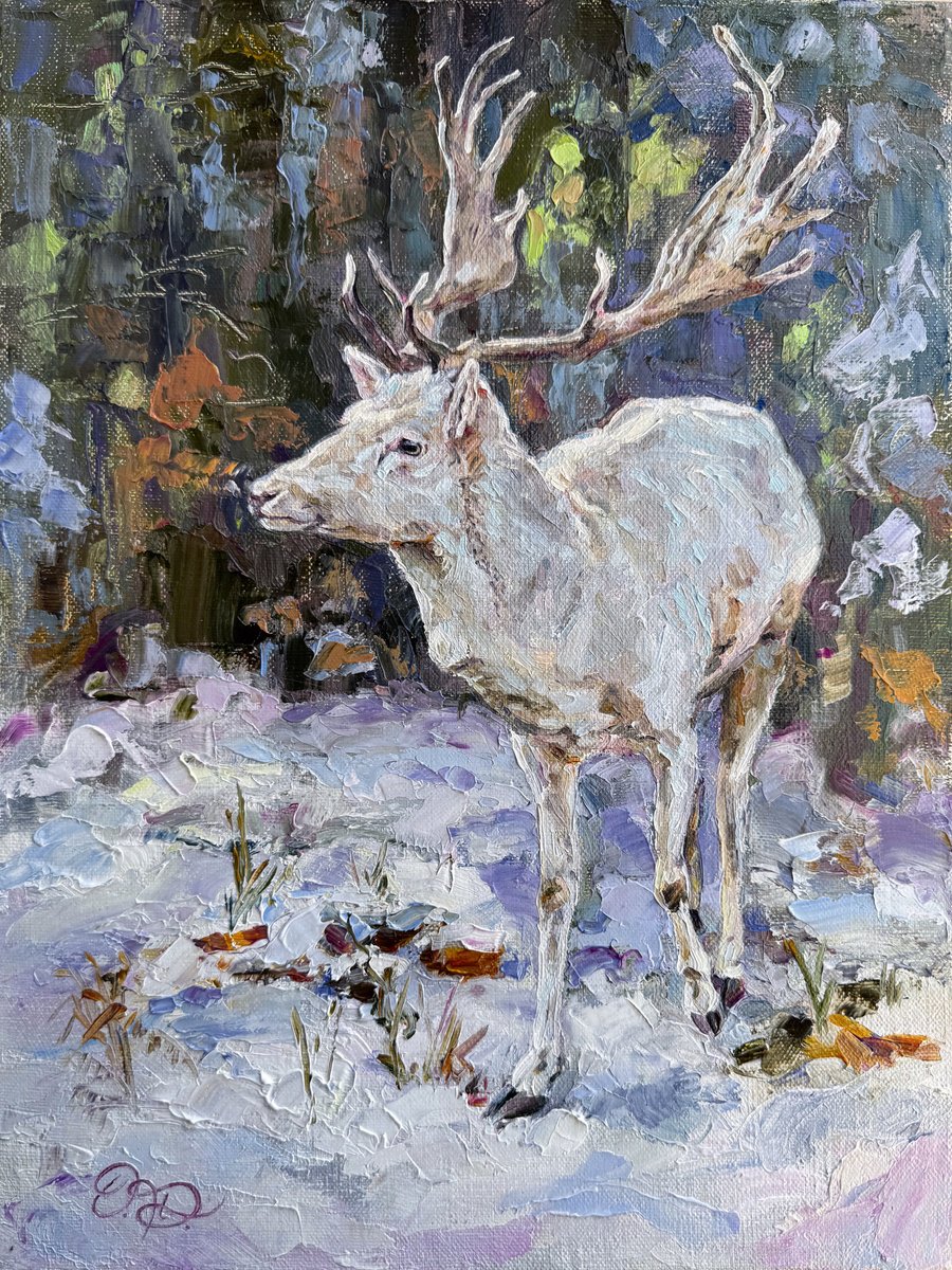 Impressionistic Animal Oil Painting By Olha Dashkevych, 12 X 16", The First Snow, Original Artwork