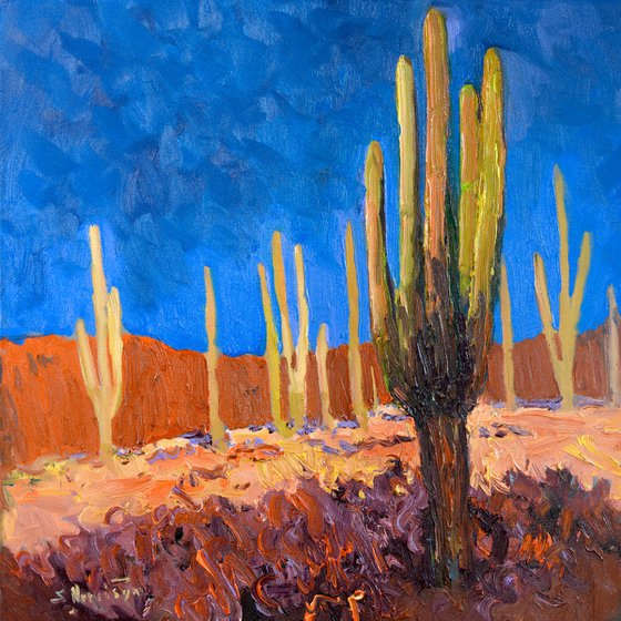 Shadows of the Southwest