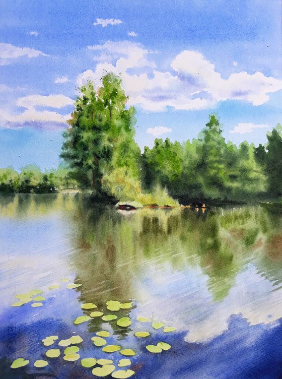 Forest Lake - summer landscape