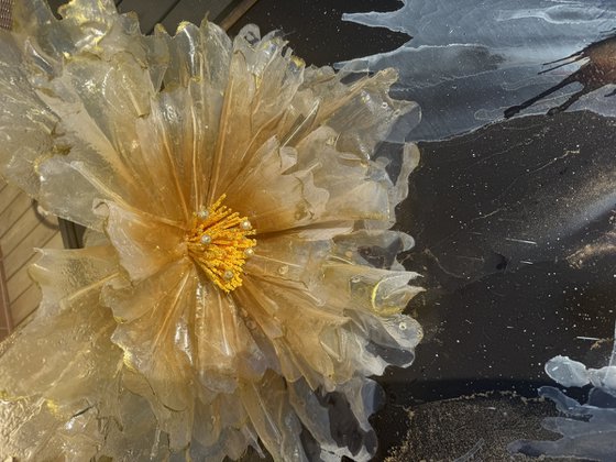 The Alchemy of Light