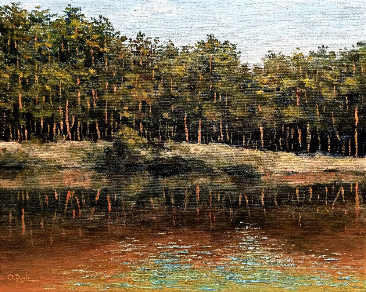Pines on the shore by Oleh Rak