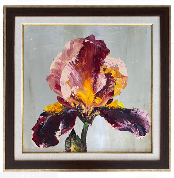 Iris in maroon original painting on canvas acrylic flowers