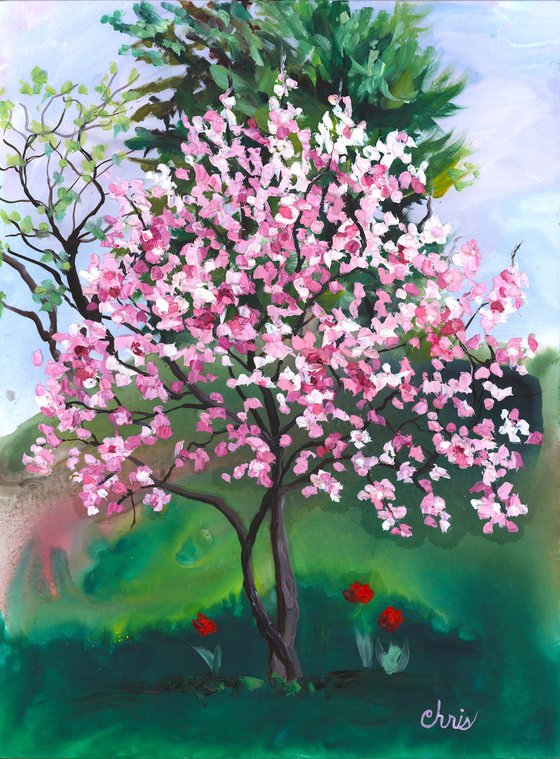 Little Pink Magnolia Tree