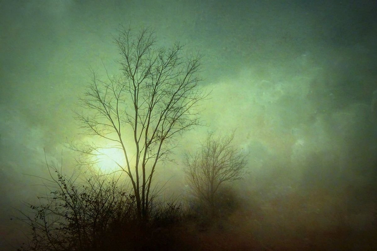 Dawn by Sandra Roeken