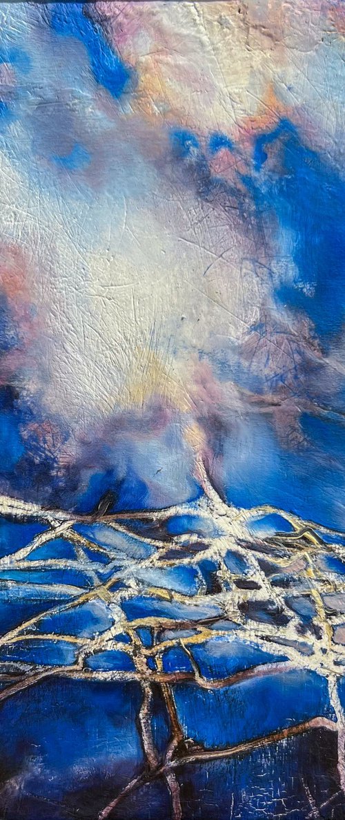Sky fields by Marjan Fahimi