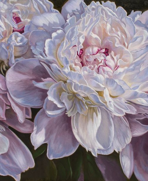 Panorama of Peonies by Fiona Craig