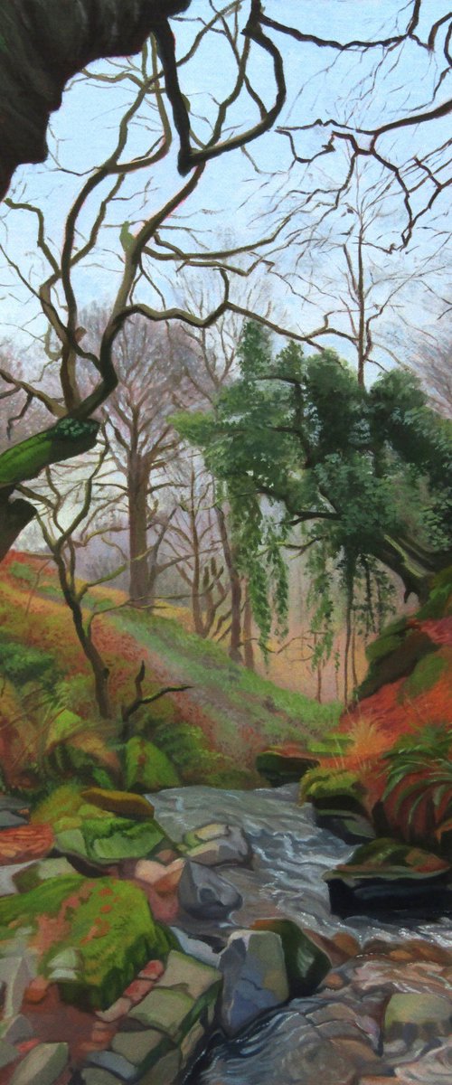 Lamb Woods by Rebecca Coleman