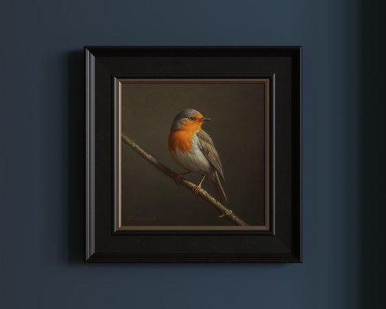 European Robin
