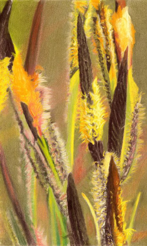 GLOWING GRASS by Nives Palmić