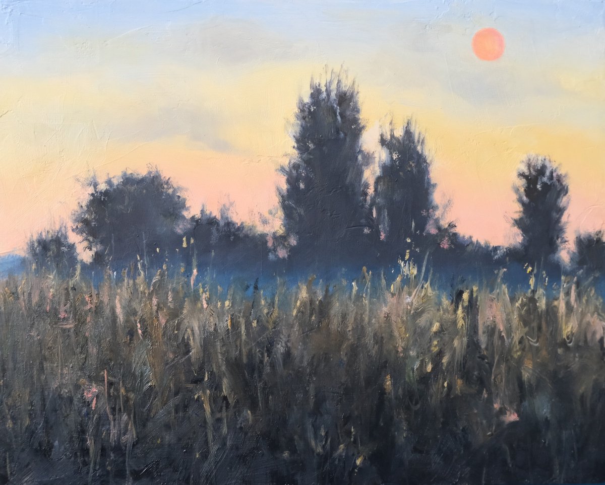 Organic Landscape Oil Painting By Kerry Lisa Davies, 10 X 8", Orange Moon, Original Artwork