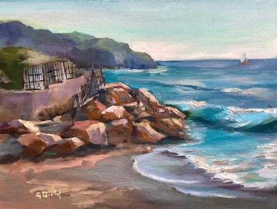 Crystal Cove
