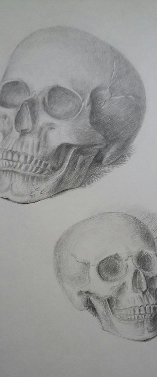 Skull. Portrait "On the left and right" by Yury Klyan