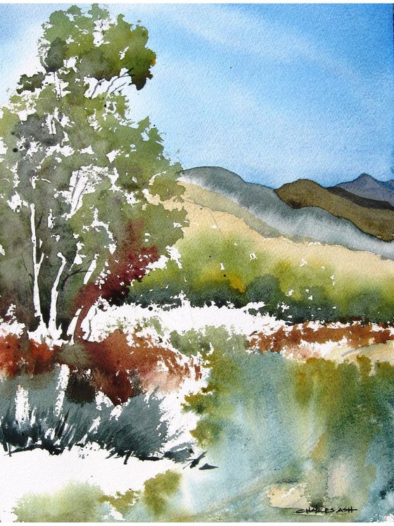 Little Arroyo V - Original Watercolor Painting