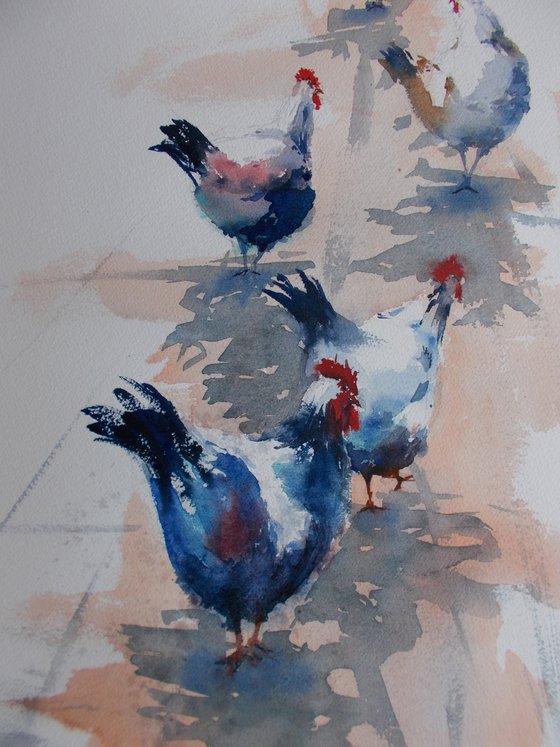 rooster and hens 3