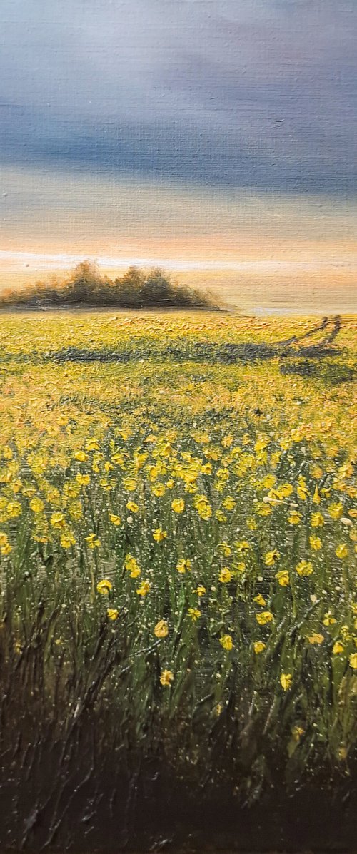Fields of Gold by James Brunt