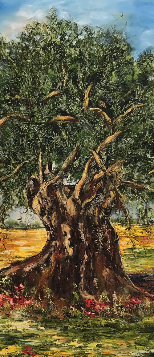 Olive Tree by Diana Malivani
