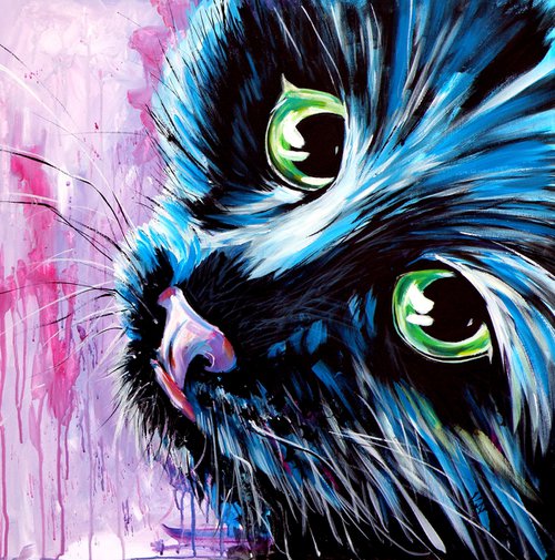 Cute black kitten by Kovács Anna Brigitta