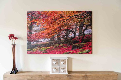 Deep In The Forest... - 36x24" LARGE Limited Edition Canvas Print by Ben Robson Hull