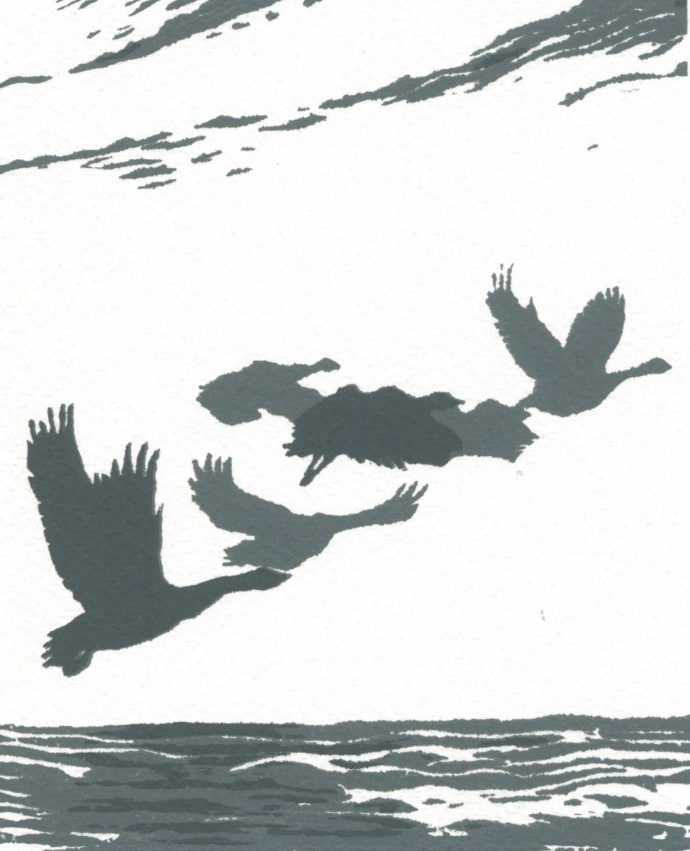 Geese in Flight by Ian Scott Massie