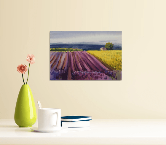 Landscape with lavender field.