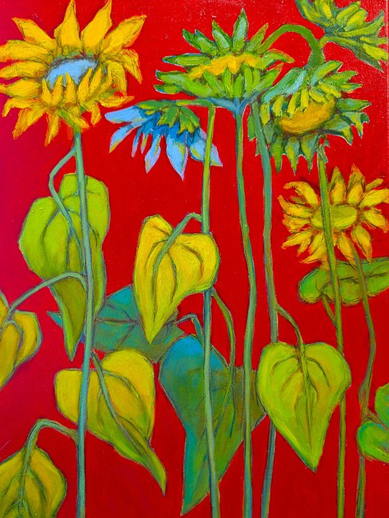 Sunset with Sunflowers .