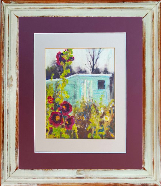 Dad's Allotment Shed & Hollyhocks