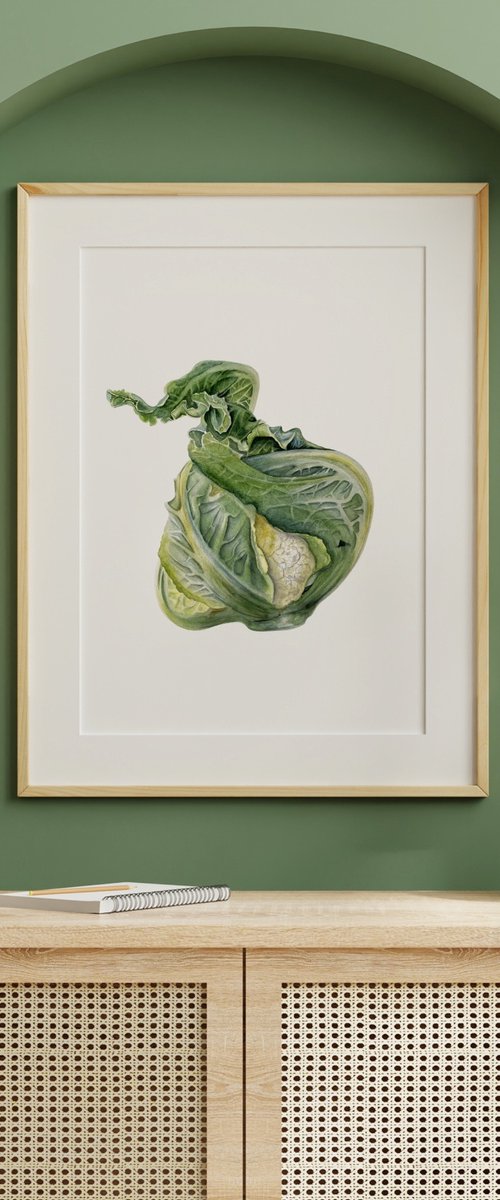 Cabbage by Tina Shyfruk