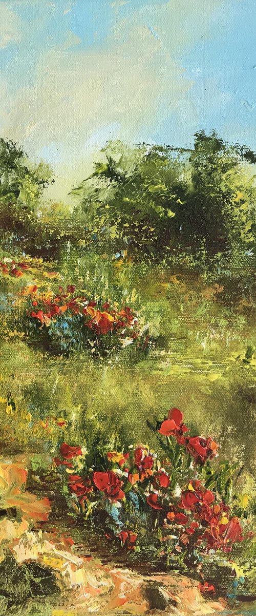 A Path in the Poppies by Diana Malivani
