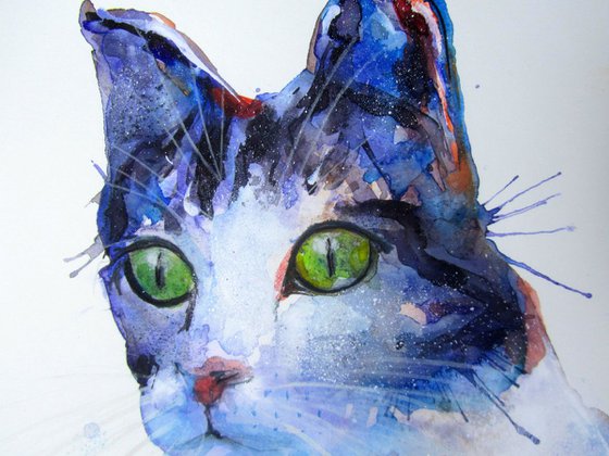 The Blue Tabby Cat