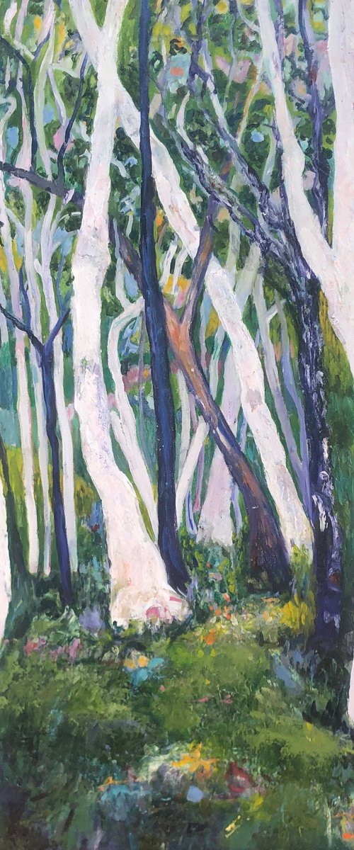 GHOST GUMS by Maureen Finck