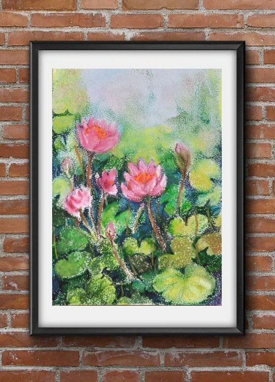 Lotus flower Pond