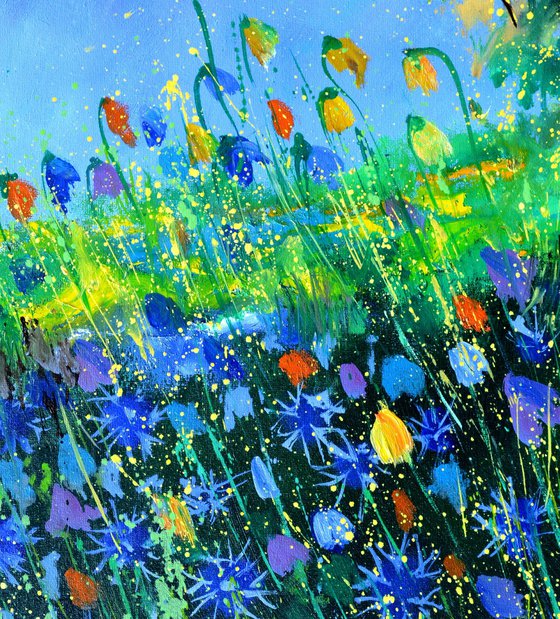 Summer Wild flowers -5623