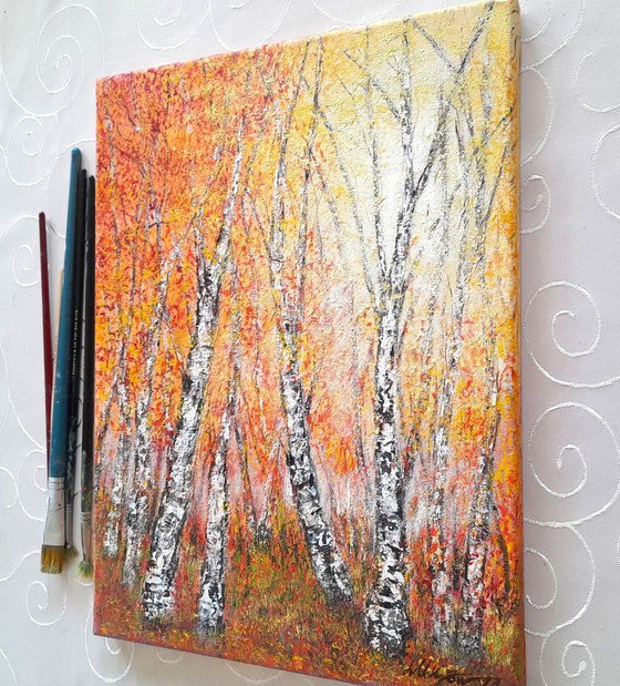 Autumnal birch trees