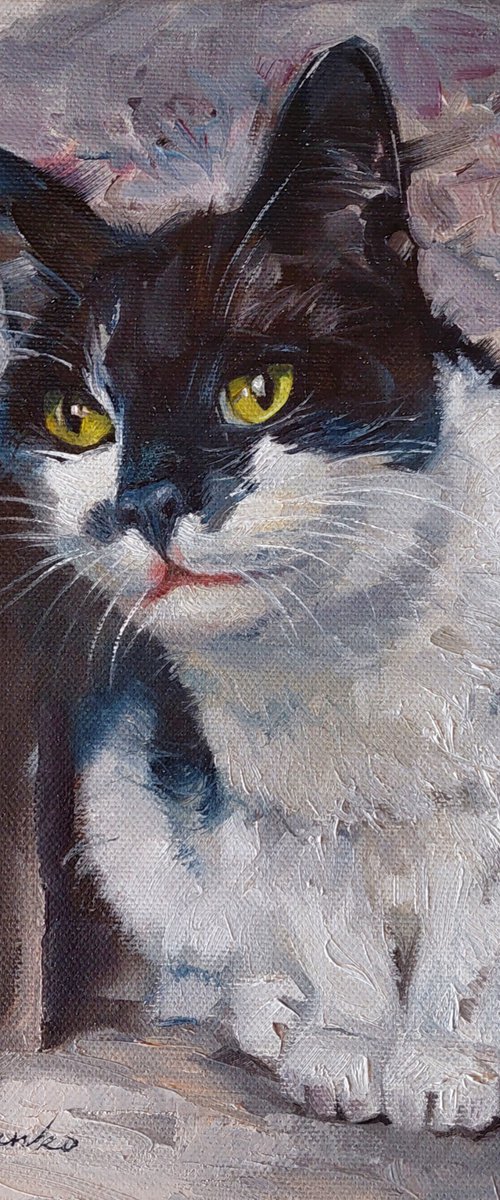 Custom pet portrait by Nataly Derevyanko
