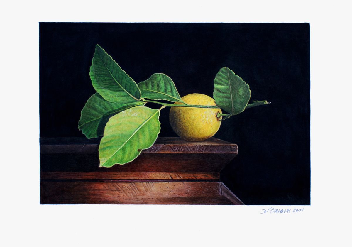 Still Life with Lemon by Dietrich Moravec