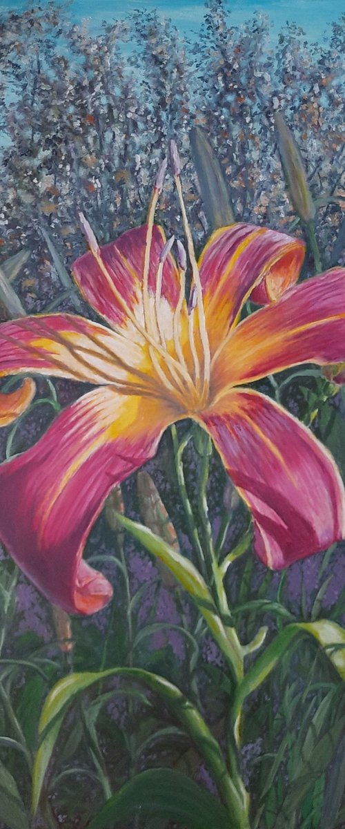 Common lily by John Howes