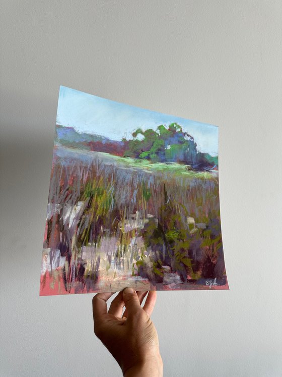Morning field