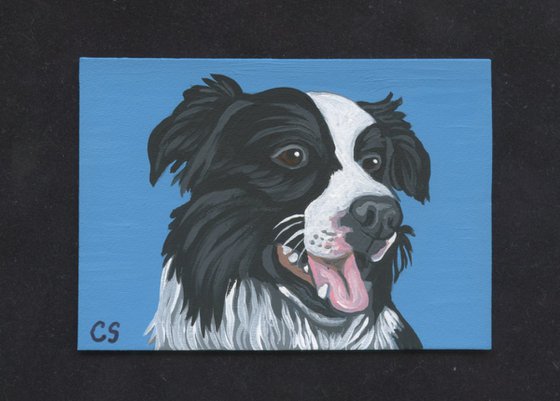 ACEO ATC Original Miniature Painting Black Border Collie Pet Dog Art-Carla Smale