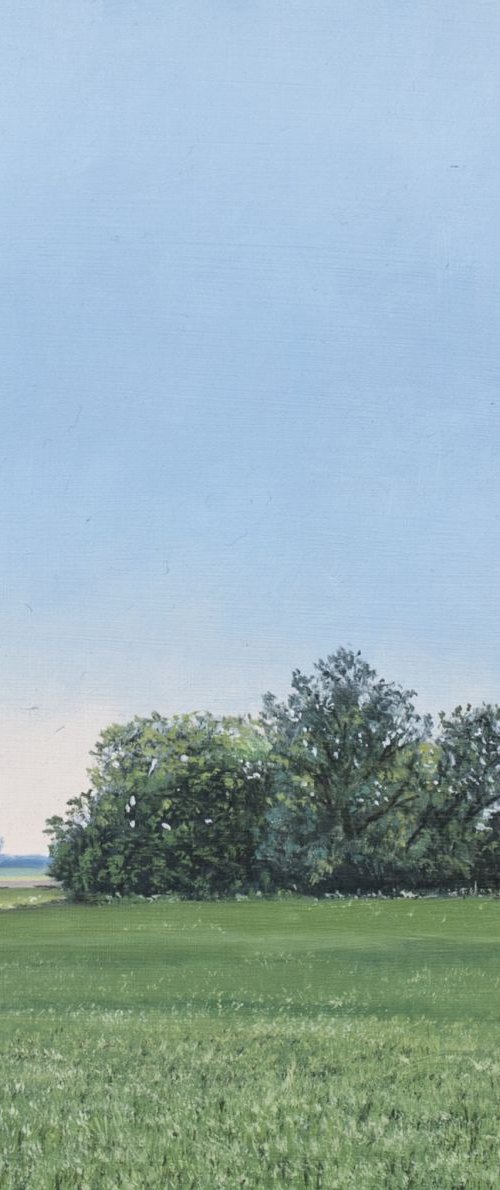 Landscape near Sutton by Christopher Witchall
