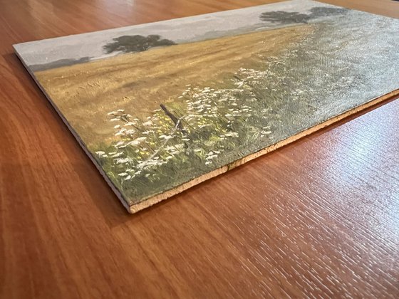 Wheat Fields and Wild Carrot