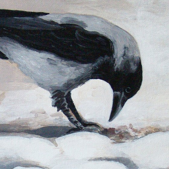 Crow