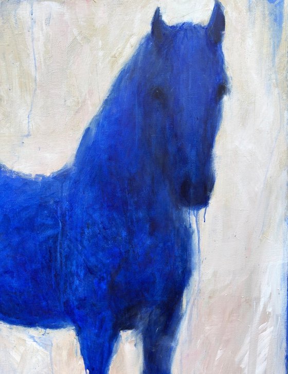 Blue horse. The hole