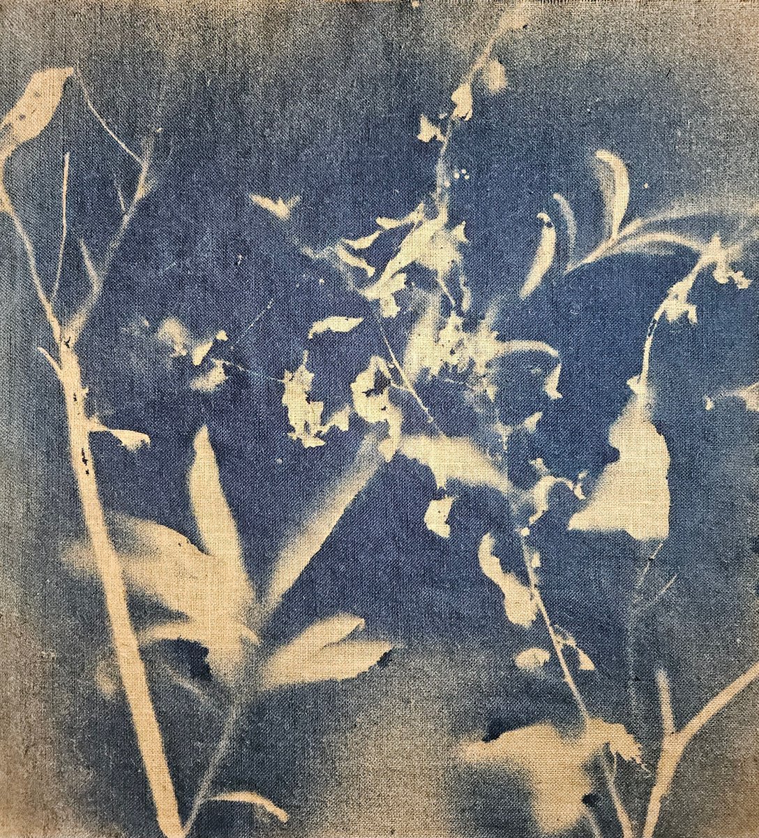 Surrealistic Botanical Acrylic Painting By Stefano Mazzolini, 35 X 39", Rf38, Original Artwork