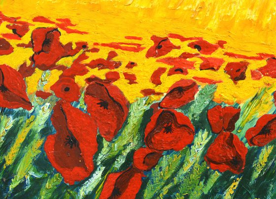 Red poppies in the sun