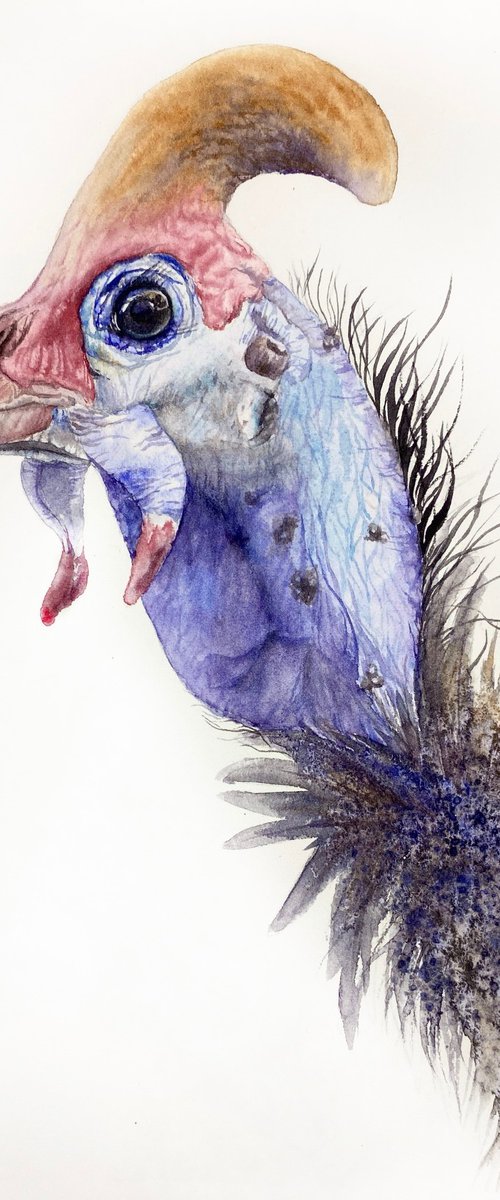 Portrait of Guinea fowl bird by Tetiana Savchenko